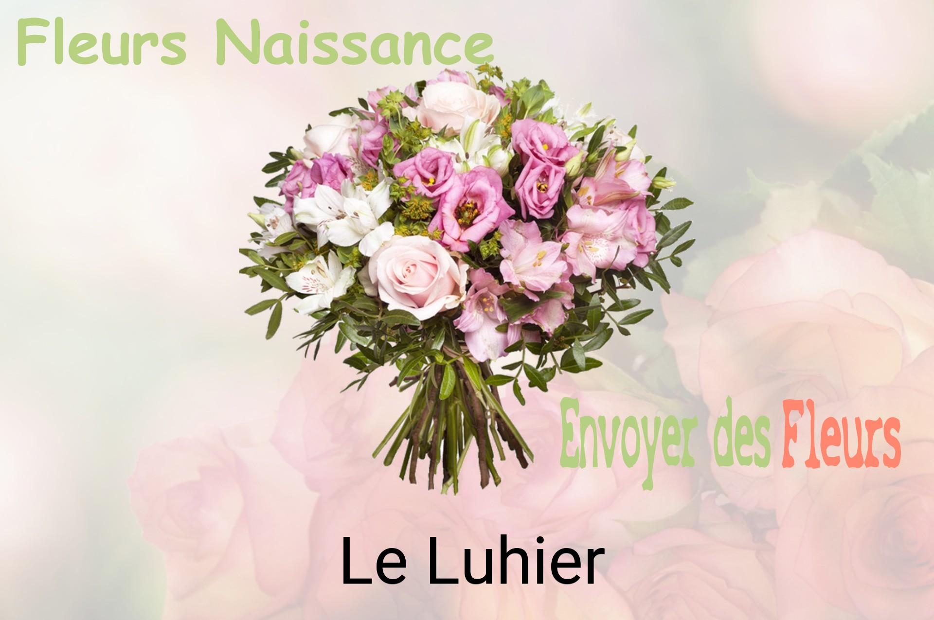 Bouquet de fleurs de naissance livré à Le Luhier